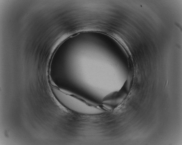 X0000095531197200712141455