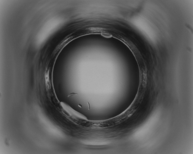 X0000095531198200712141455