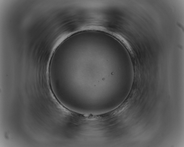 X0000095531199200712141455