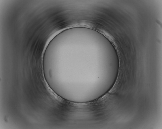 X0000095531200200712141455