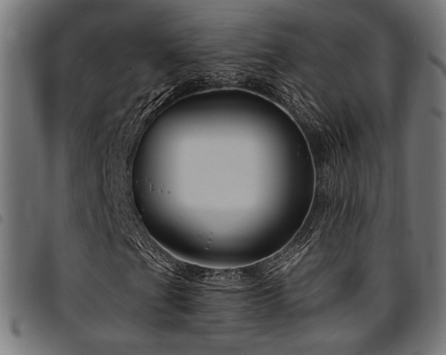 X0000095531201200712141455