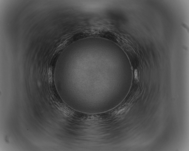 X0000095531203200712141455