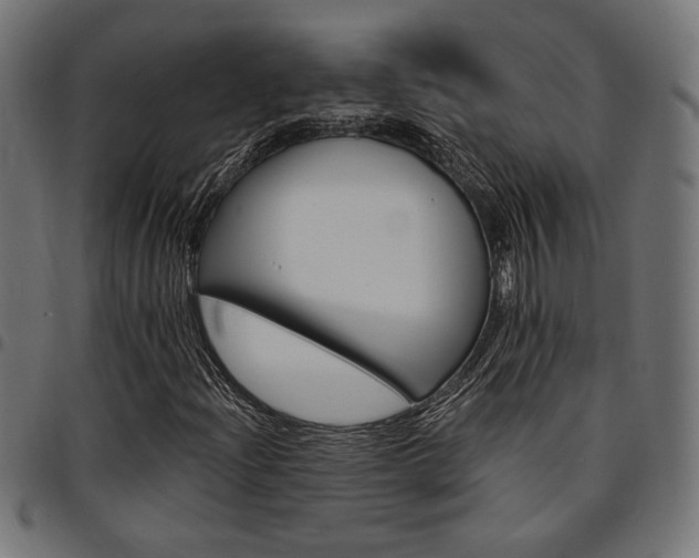 X0000095531204200712141455