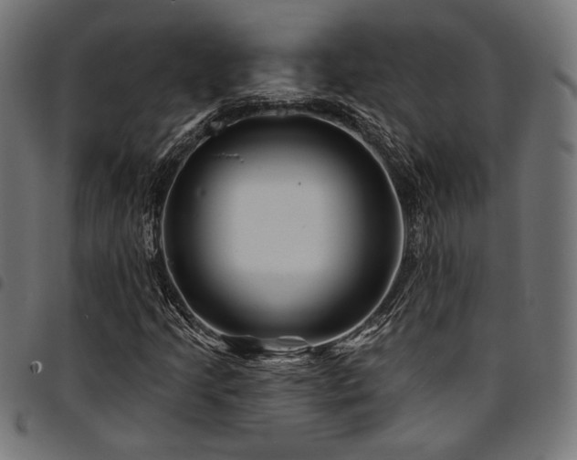 X0000095531205200712141455