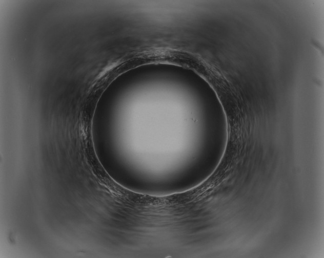 X0000095531206200712141455