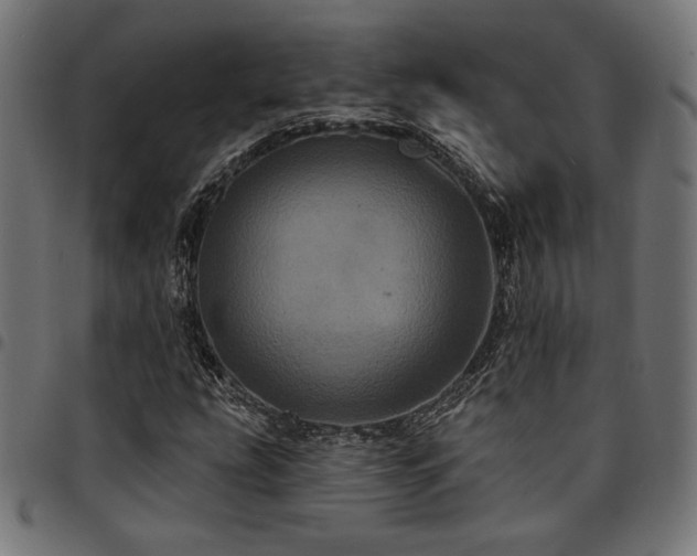 X0000095531207200712141455