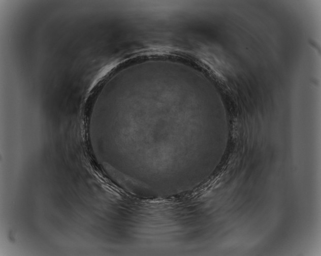 X0000095531208200712141455