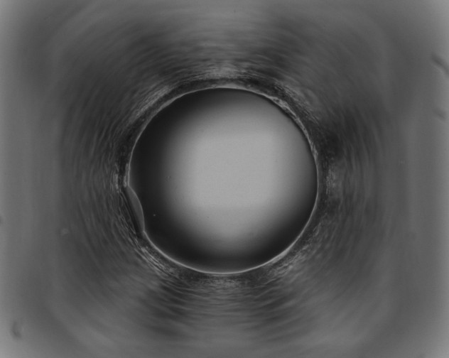 X0000095531209200712141455