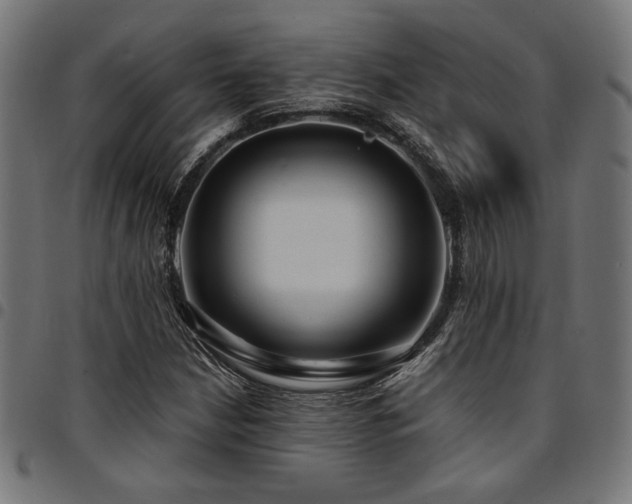 X0000095531210200712141455