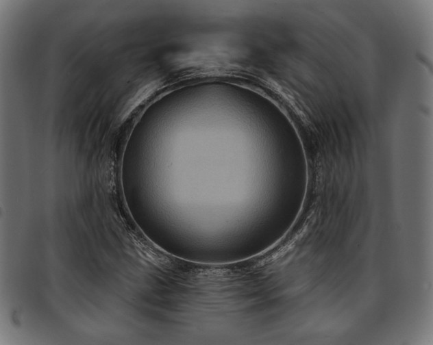 X0000095531211200712141455