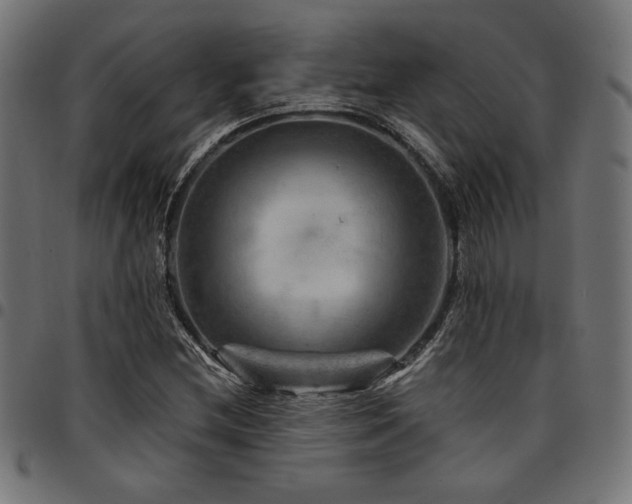 X0000095531212200712141455