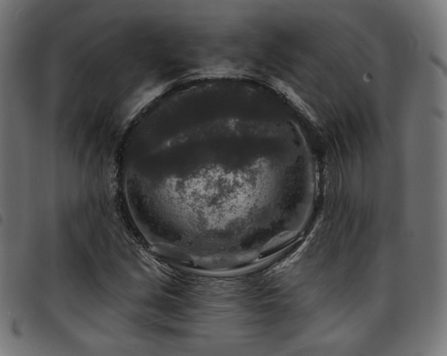 X0000095531213200712141455