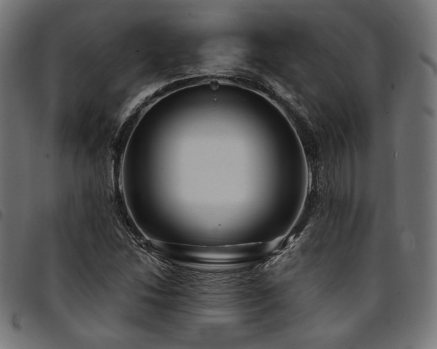 X0000095531214200712141455
