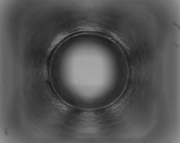 X0000095531215200712141455