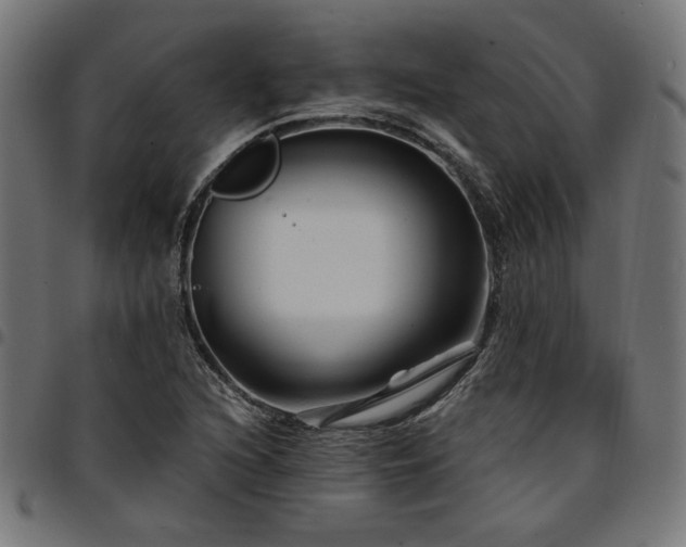X0000095531216200712141455