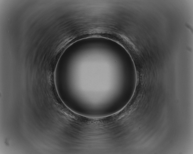X0000095531217200712141455