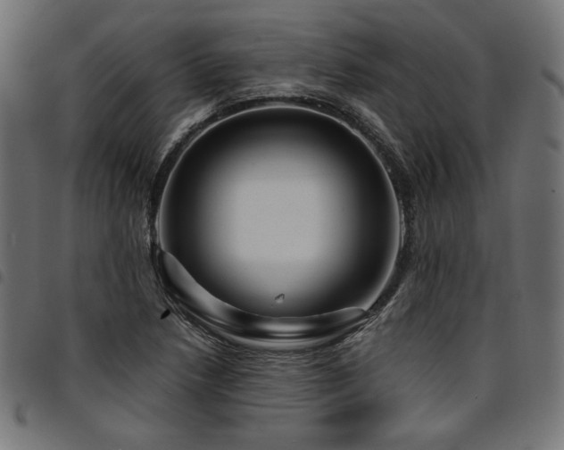 X0000095531218200712141455