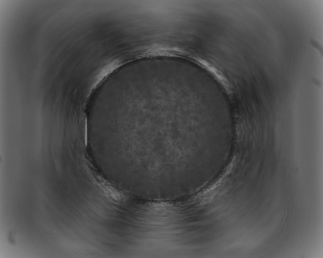X0000095531219200712141455