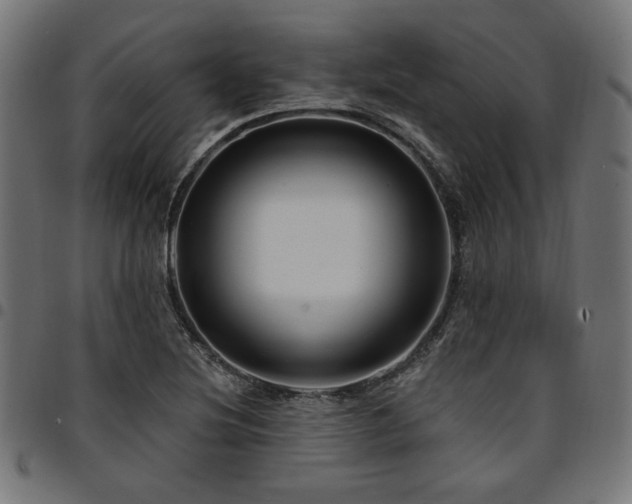 X0000095531220200712141455