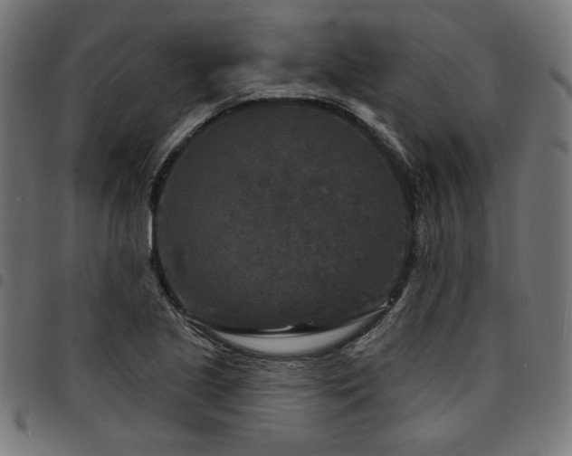 X0000095531221200712141455