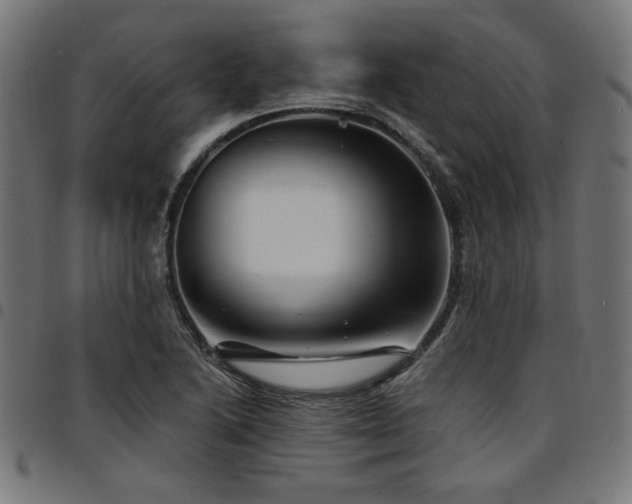 X0000095531222200712141455