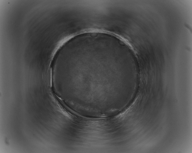 X0000095531223200712141455