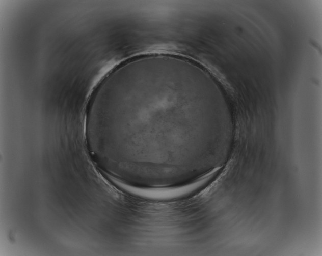 X0000095531224200712141455