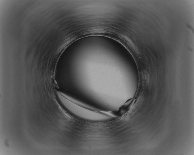 X0000095531225200712141455