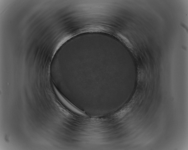 X0000095531226200712141455