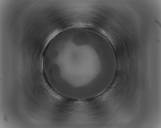 X0000095531227200712141455