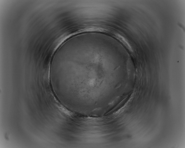 X0000095531228200712141455