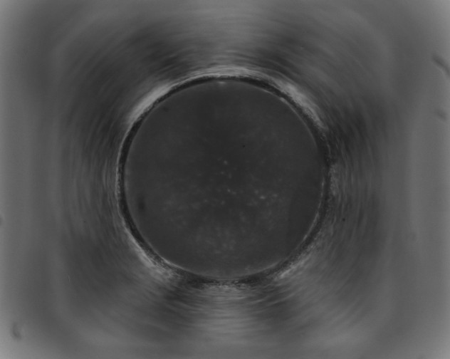 X0000095531229200712141455