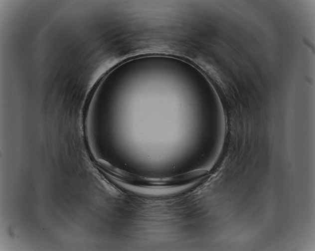 X0000095531230200712141455