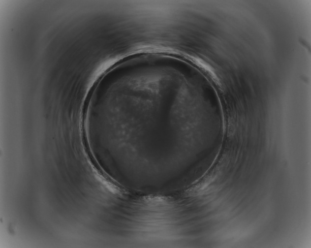 X0000095531231200712141455