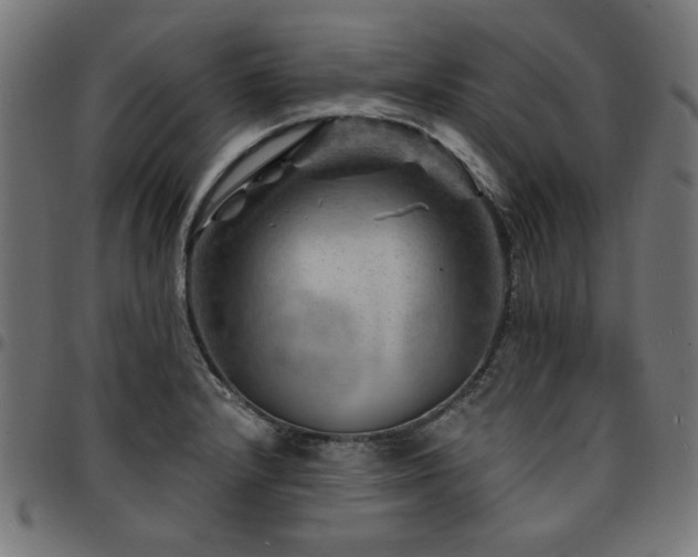 X0000095531232200712141455