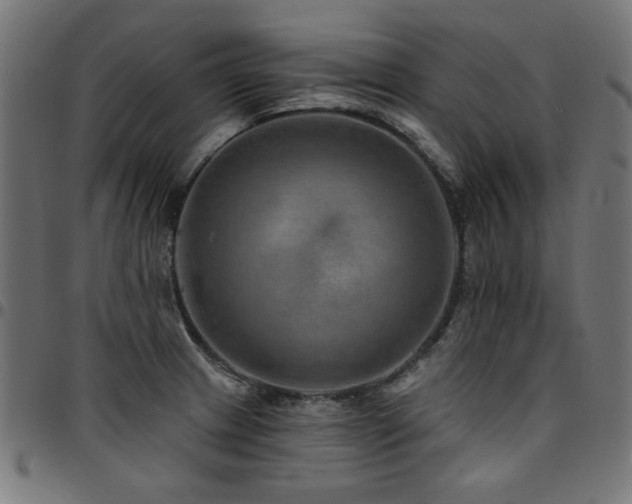 X0000095531233200712141455