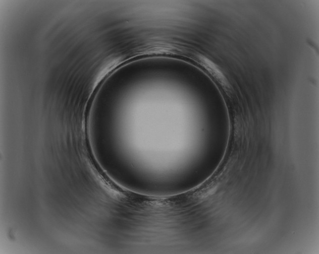 X0000095531234200712141455