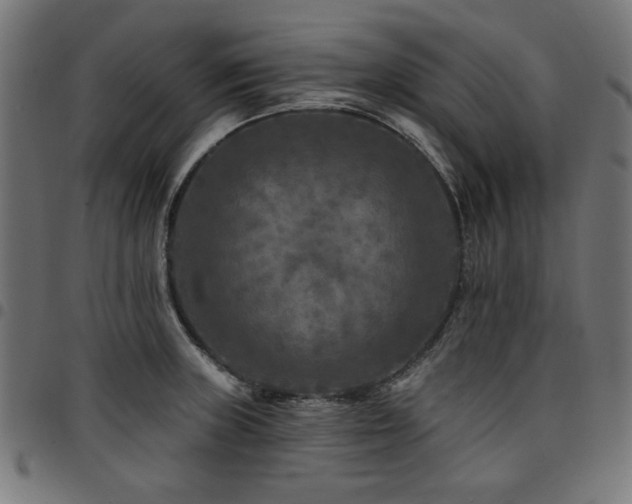 X0000095531235200712141455