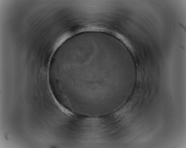 X0000095531237200712141455