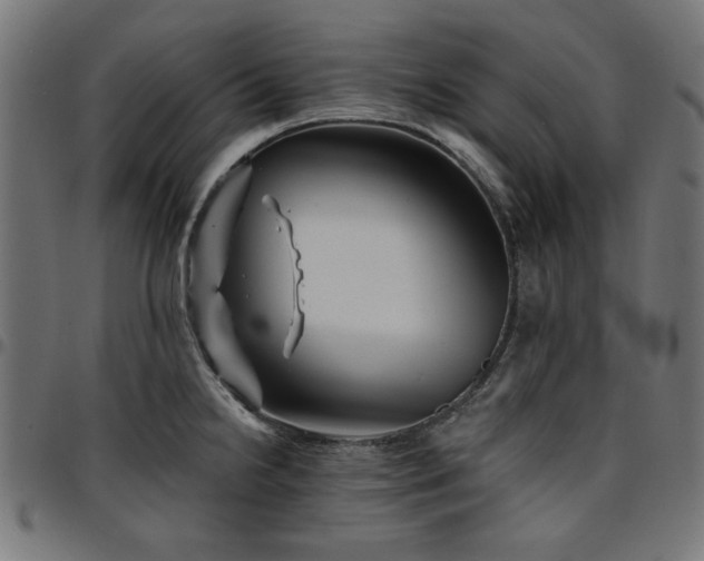 X0000095531238200712141455