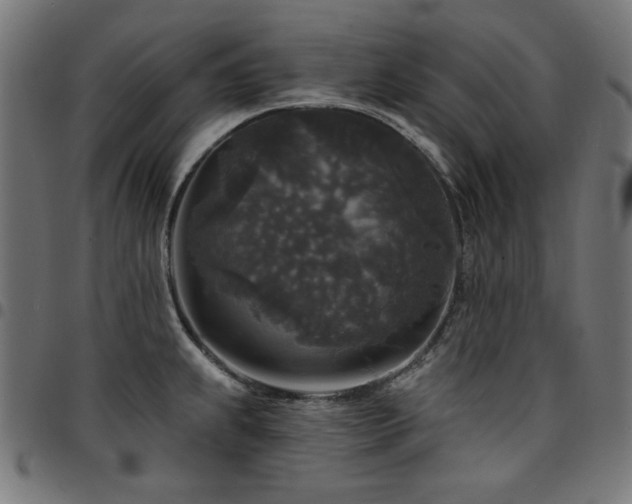 X0000095531239200712141455