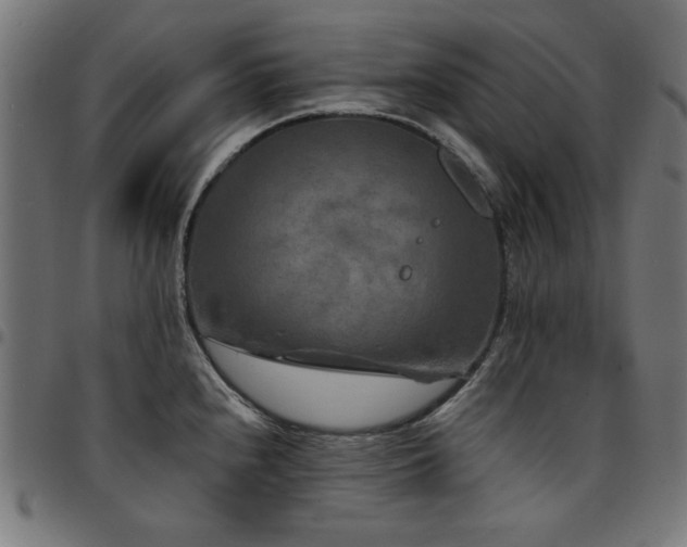 X0000095531240200712141455