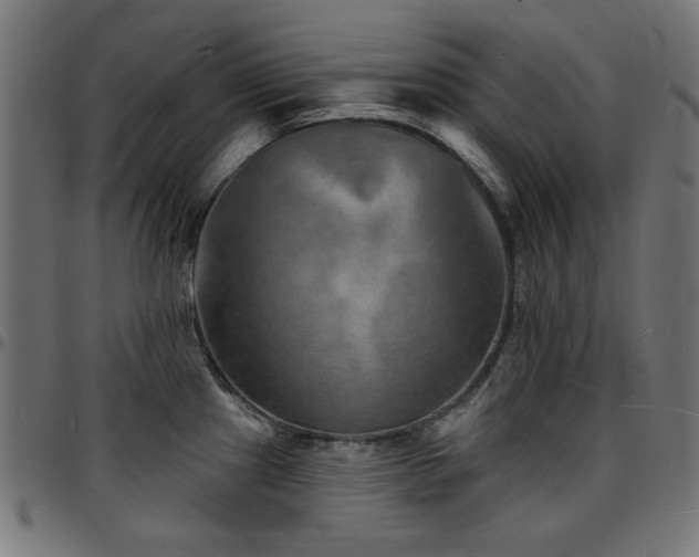 X0000095531241200712141455
