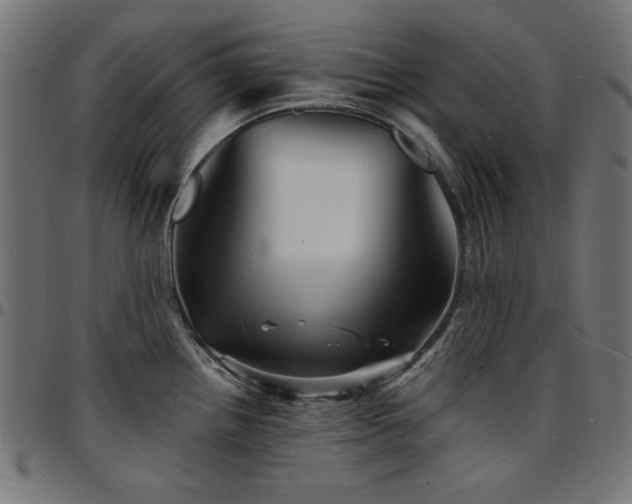 X0000095531242200712141455