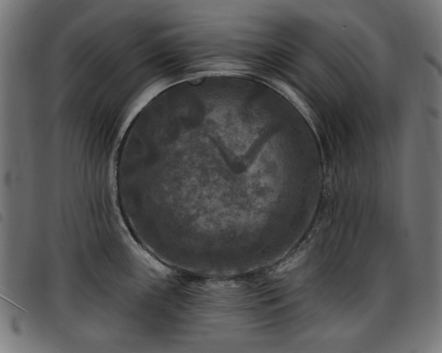 X0000095531243200712141455