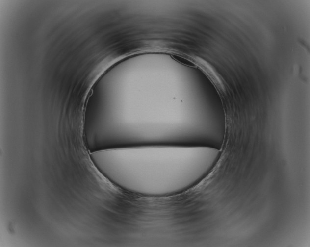X0000095531244200712141455