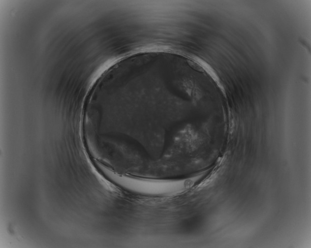 X0000095531245200712141455