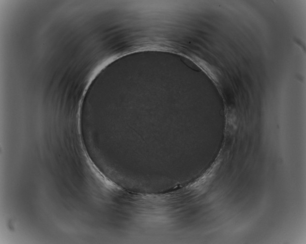 X0000095531246200712141455