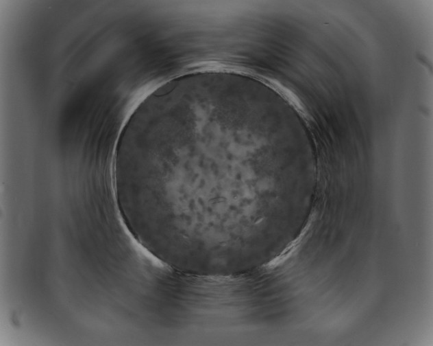 X0000095531247200712141455