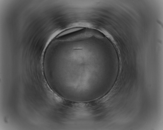X0000095531248200712141455